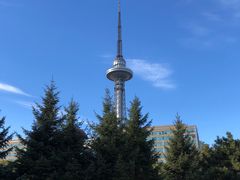-龙塔