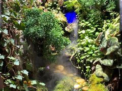 -街角等你.大连海鲜烧烤.经典铁板海鲜串(西安路店)