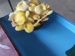 -仙蘑洞