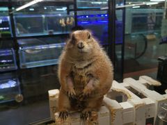 -宠物世家(仲盛世界商城店)