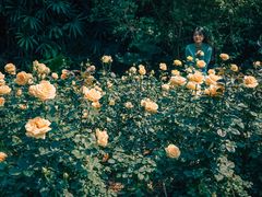 -人民公园(罗湖区)