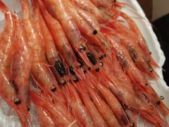 -黑松白鹿(崇文门新活馆店)