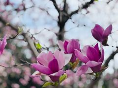 -白塘生态植物园