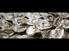 iphone_upload_pic-覃记海鲜美食餐厅