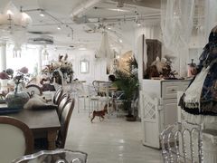 -共舞时光猫咖·狗咖(新街口店)