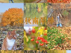 -南翠屏公园