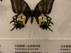 -天津自然博物馆