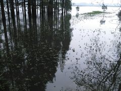 -恋山坝上草原