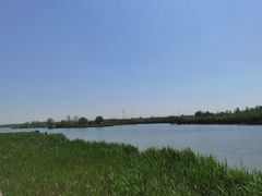 -西青郊野公园