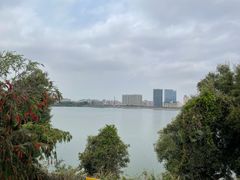 -立新湖公园