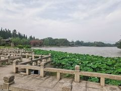 -江心屿景区