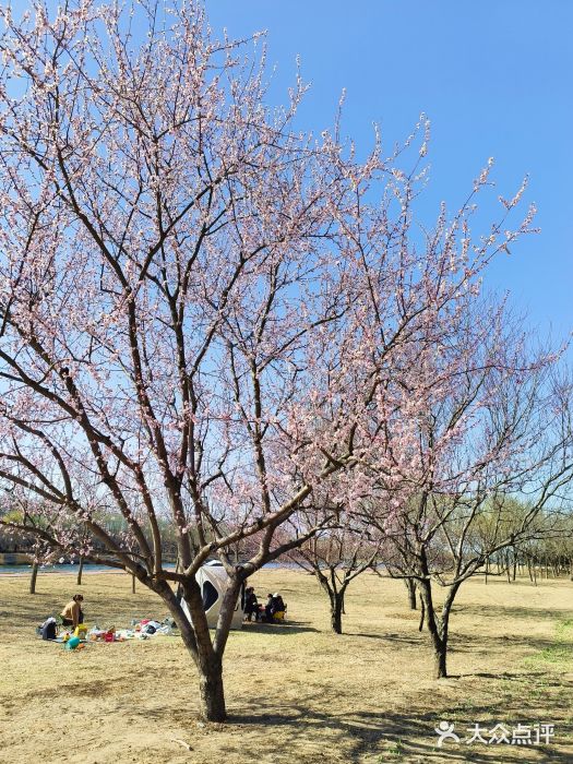 坝河休闲公园图片