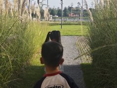 -中国天府农业博览园