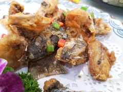 -寻味顺德·南记酒家·传统顺德菜·鱼生(广源路店)
