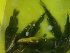 -绍兴名菜馆(可乐路店)