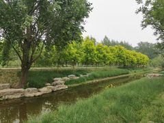 -东郊湿地公园