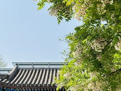 -北京石刻艺术博物馆(五塔寺)