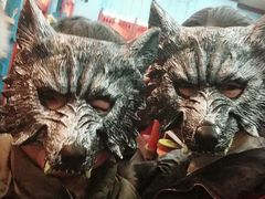 -郑州方特梦幻王国