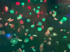 -南京金牛湖风景区