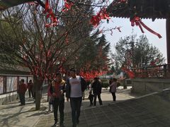 -西安青龙寺遗址景区