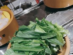 -龍歌自助小火锅(崂山丽达店)