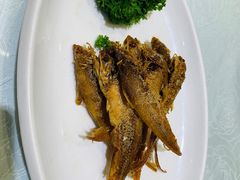 -金米箩大酒店(五角场店)