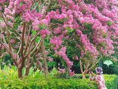 -杭州城北体育公园