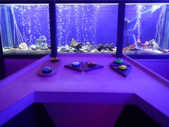 -MOJO密室逃脱(中街旗舰店)