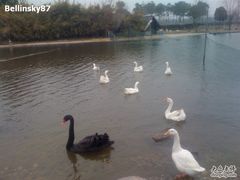 -同济大学(嘉定校区)