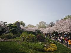 -堤角公园