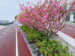 -龙美术馆(西岸馆)