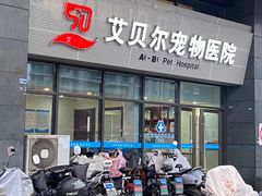 -艾贝尔宠物医院·24H转诊中心·肿瘤猫专科(江宁双龙店)