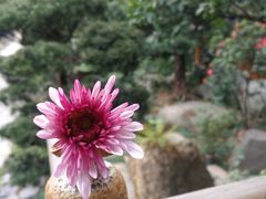 景观位-瑭风赏阁