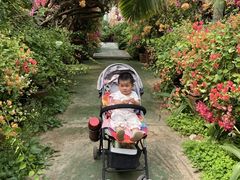 -呀路古热带植物园