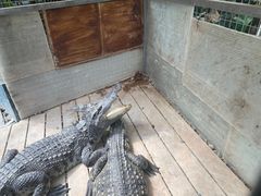 -呀路古热带植物园