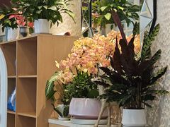 -鹿港小镇(黄金店)