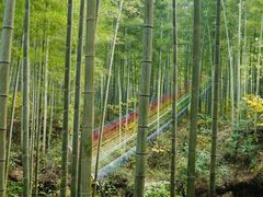 -天目湖山水园