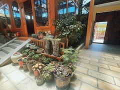 -香格里拉大峡谷巴拉格宗国家级风景名胜区丽江中旅旅游质量服务点