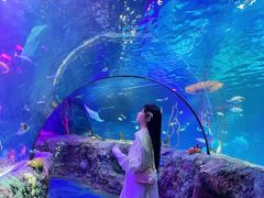 -沈阳海洋探索中心