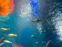 -沈阳海洋探索中心