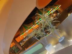 -塔哈尔·新疆盛宴(奉贤龙湖店)