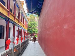 -宝通禅寺