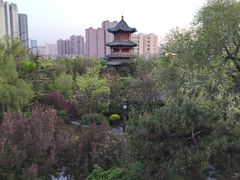 -迎泽公园