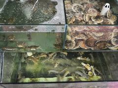 -四海鲜渔家菜(黄金海岸店)