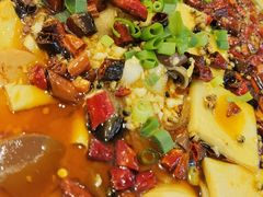 特色毛血旺-金春禧·鲁菜海鲜(延吉路万达店)