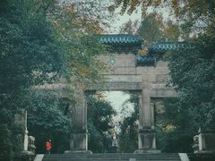-灵谷景区