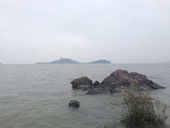 -上海市保健医疗中心(华东疗养院)