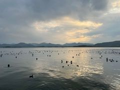 -小狗面馆(复兴店)