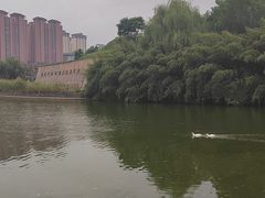 -西安汉城湖景区