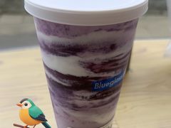 -Blueglass酸奶(财富购物中心店)